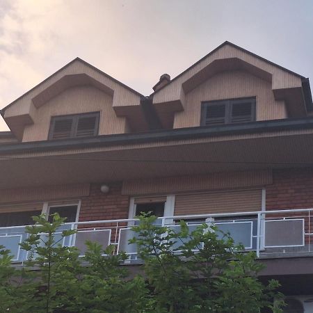Danica I Vuk Apartment Nis Exterior photo