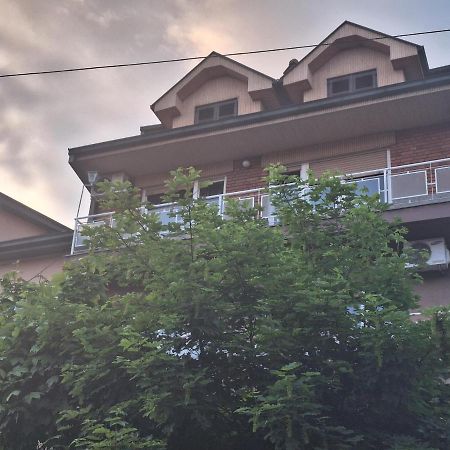 Danica I Vuk Apartment Nis Exterior photo