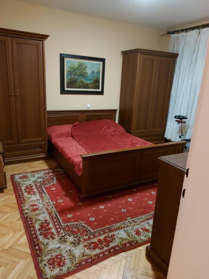 Danica I Vuk Apartment Nis Exterior photo